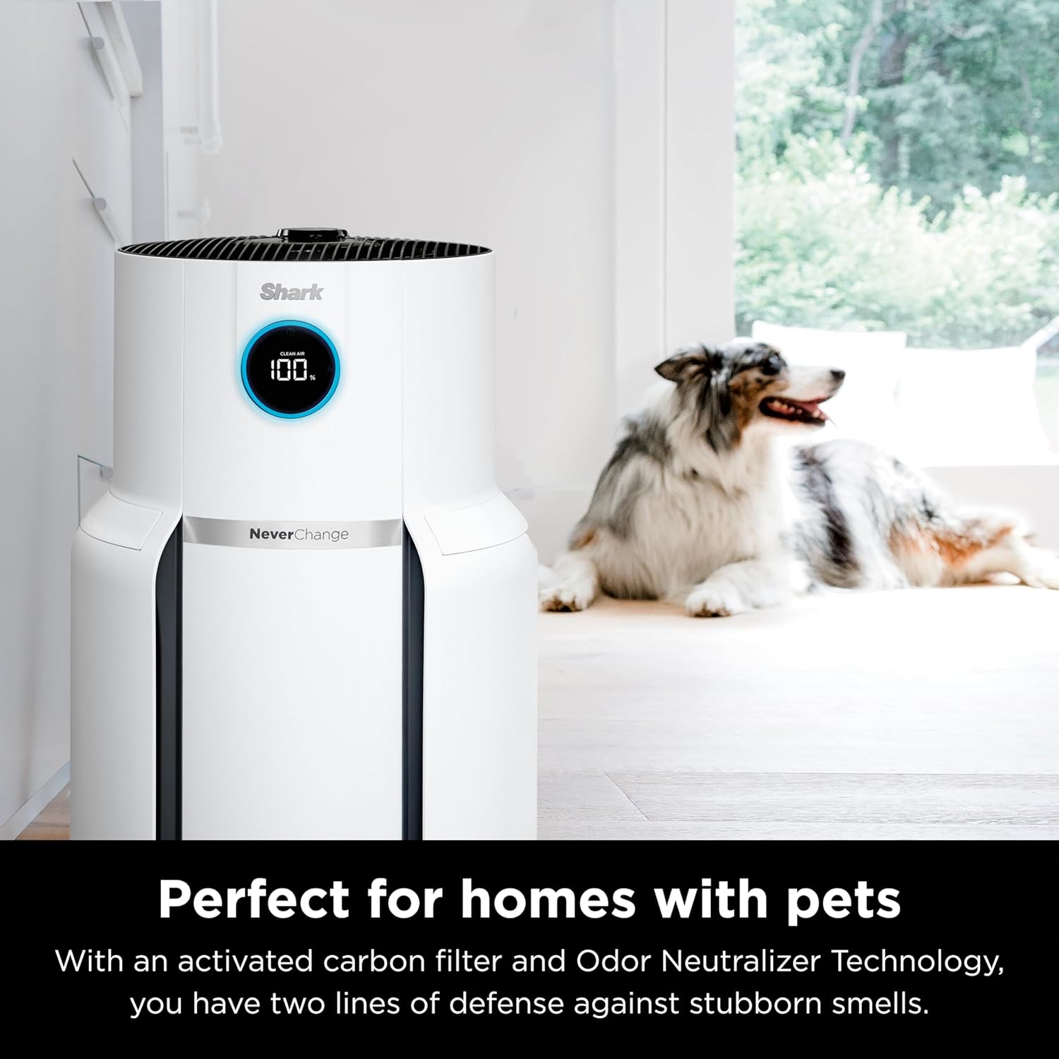 Shark Air Purifiers for Home Large Room with NeverChange Air Filter, 5 Year HEPA Filter, Covers 650 Sq. ft, Odor Neutralizer and Clean Sense Technology, Removes 99.98% of Dust & Allergens, HP152