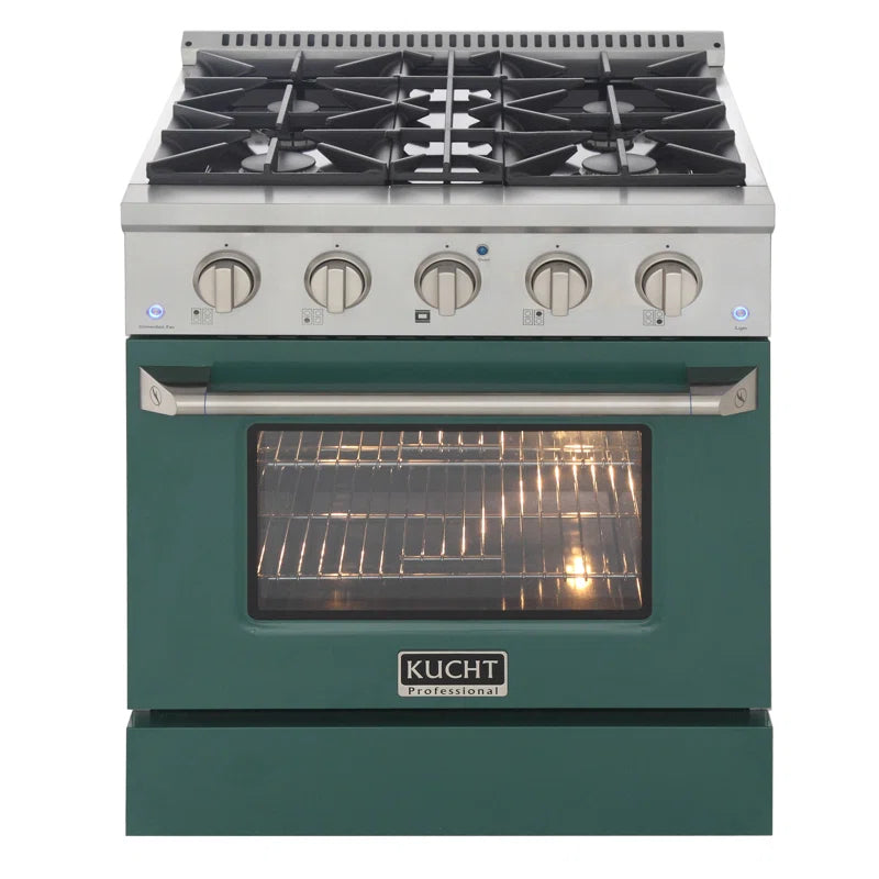 Pro-Style 30 in. 4.2 cu. ft. 4-Burner Freestanding Gas Range with Convection Oven