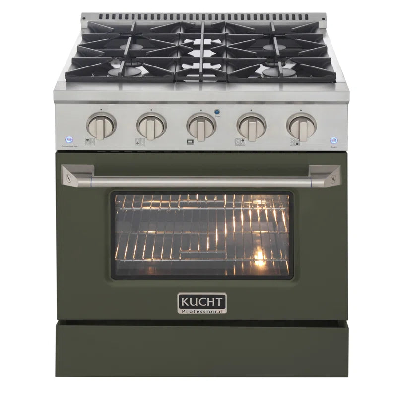 Pro-Style 30 in. 4.2 cu. ft. 4-Burner Freestanding Gas Range with Convection Oven