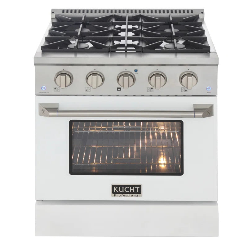 Pro-Style 30 in. 4.2 cu. ft. 4-Burner Freestanding Gas Range with Convection Oven
