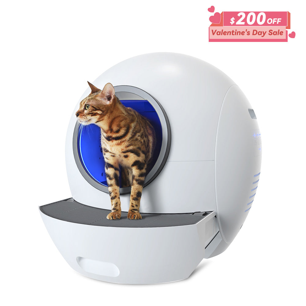 Self Cleaning Cat Litter Box, Automatic Cat Litter Box with APP Control Odor Removal Safety Protection for Multiple Cats