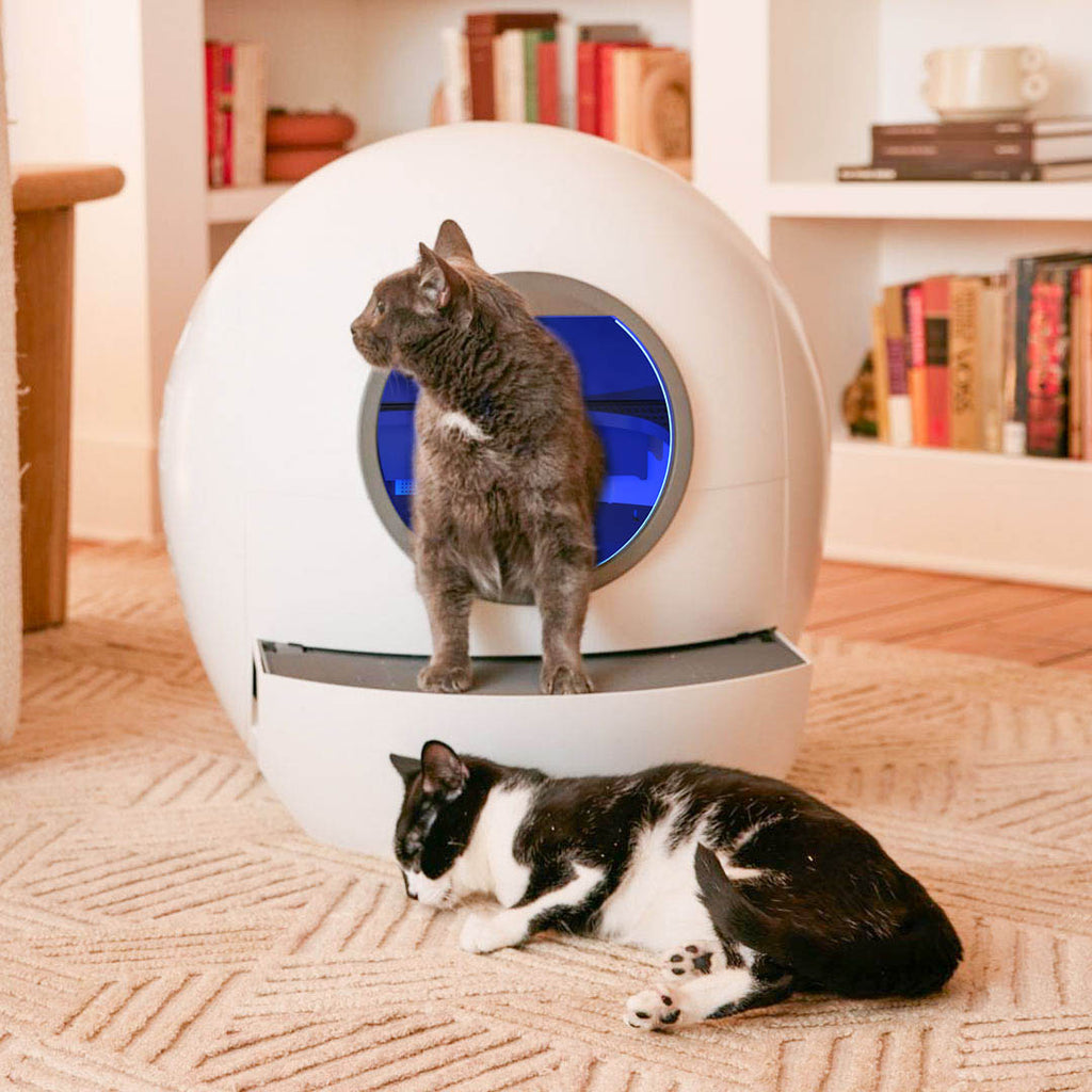Self Cleaning Cat Litter Box, Automatic Cat Litter Box with APP Control Odor Removal Safety Protection for Multiple Cats