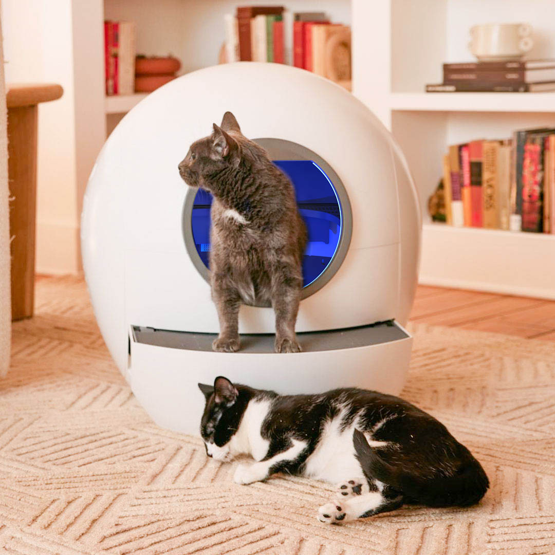 Self Cleaning Cat Litter Box, Automatic Cat Litter Box with APP Control Odor Removal Safety Protection for Multiple Cats