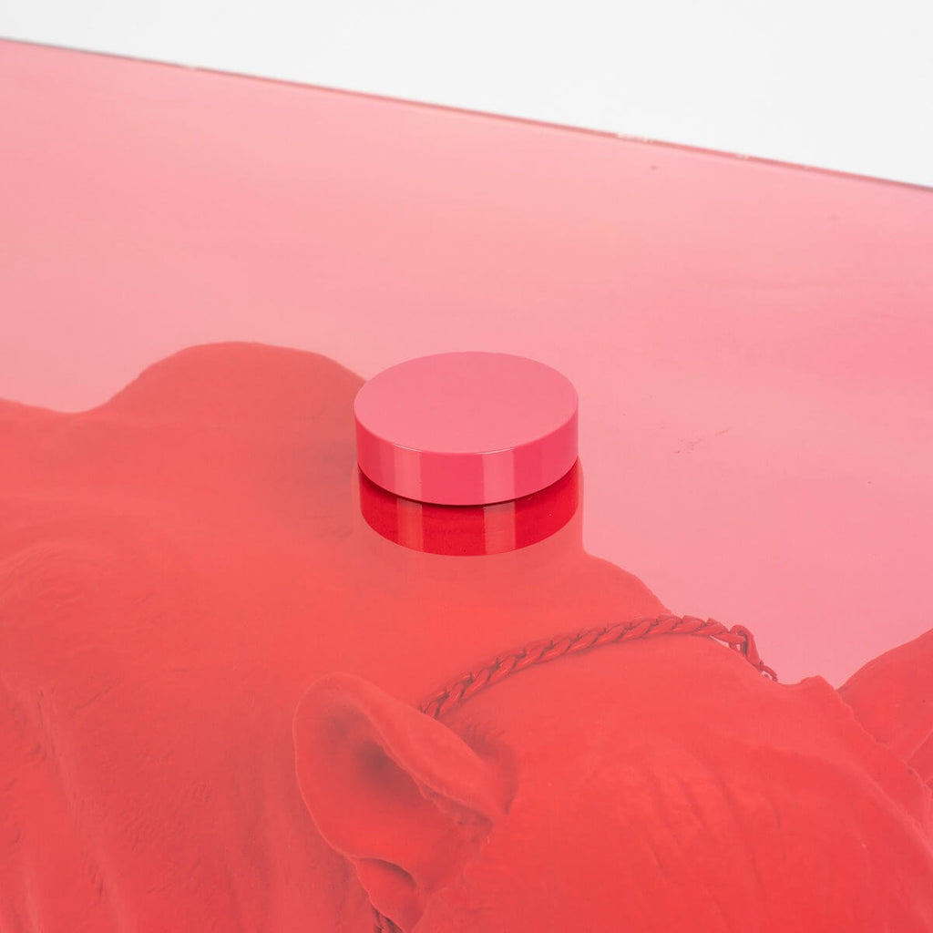 Figurine Glass Top Coffee Table