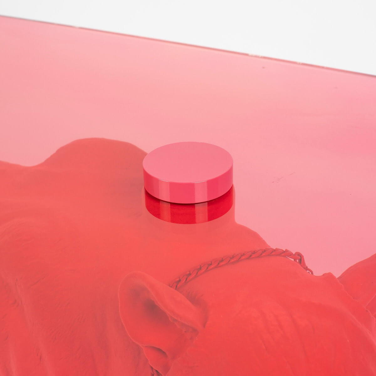 Figurine Glass Top Coffee Table