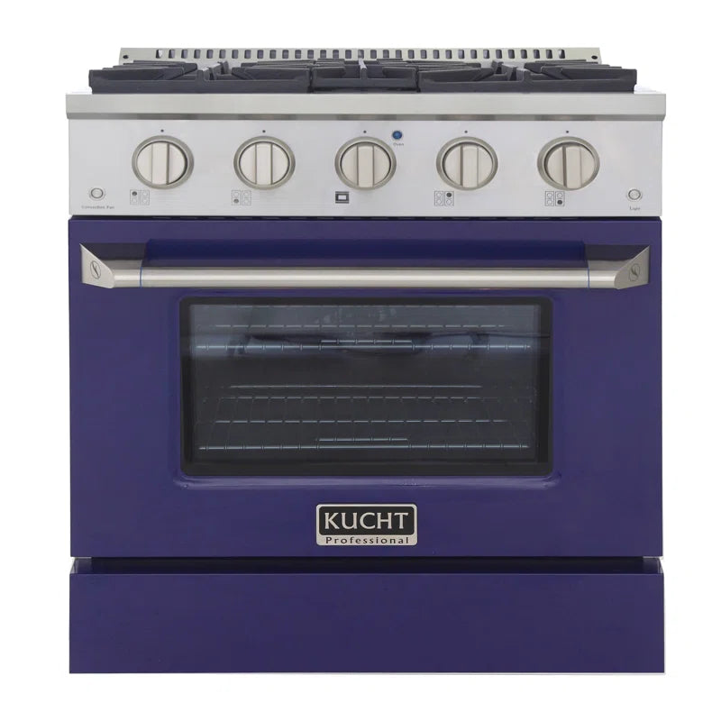 Pro-Style 30 in. 4.2 cu. ft. 4-Burner Freestanding Gas Range with Convection Oven