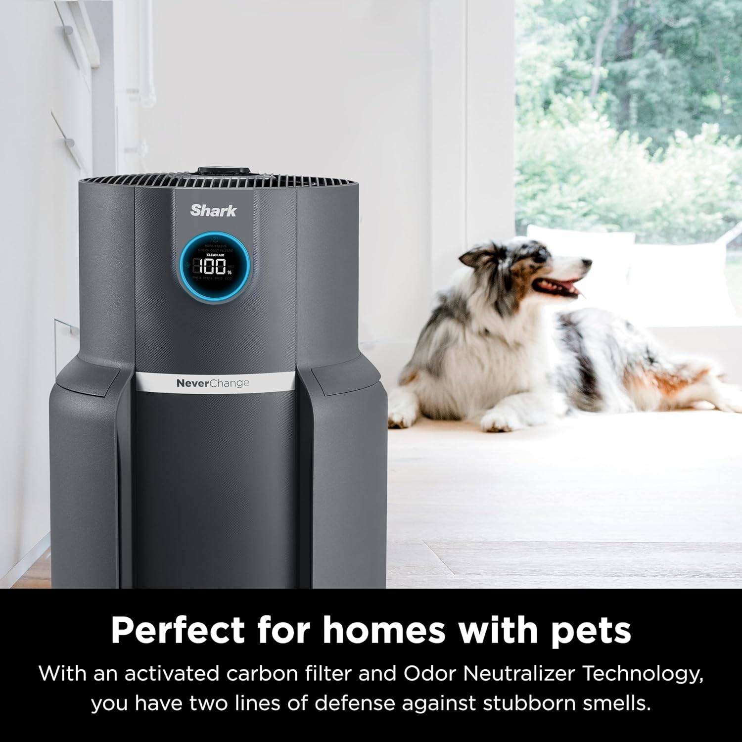 Shark Air Purifiers for Home Large Room with NeverChange Air Filter, 5 Year HEPA Filter, Covers 650 Sq. ft, Odor Neutralizer and Clean Sense Technology, Removes 99.98% of Dust & Allergens, HP152