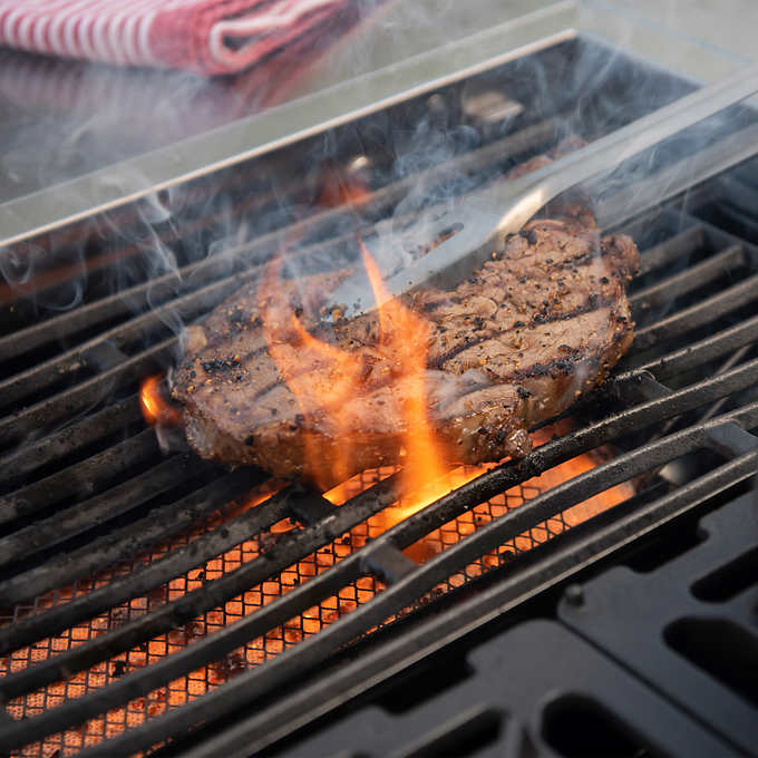 Kirkland Signature Stone Island 12-Burner Gas Grill