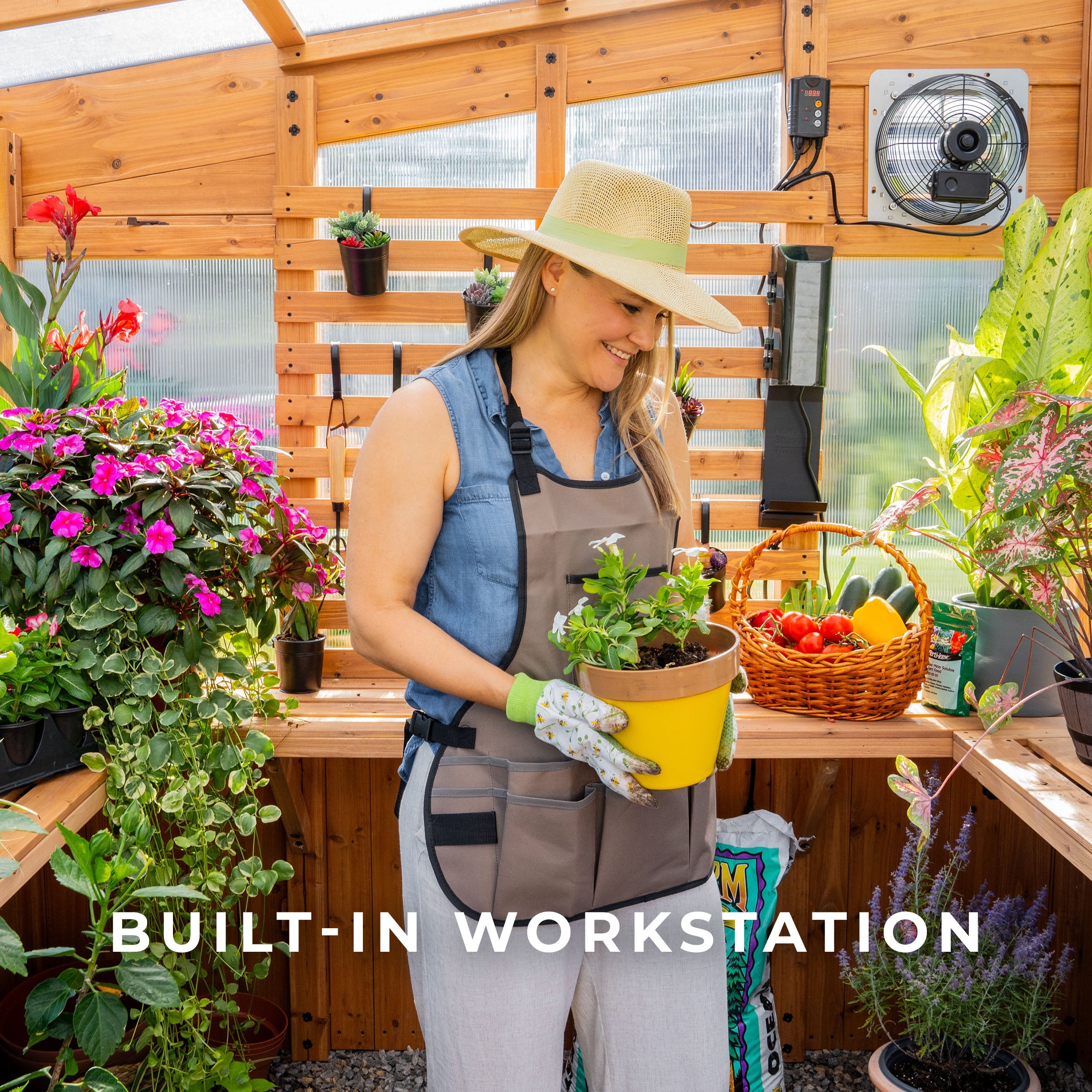 12x7 Zalie Greenhouse（Shipping included)