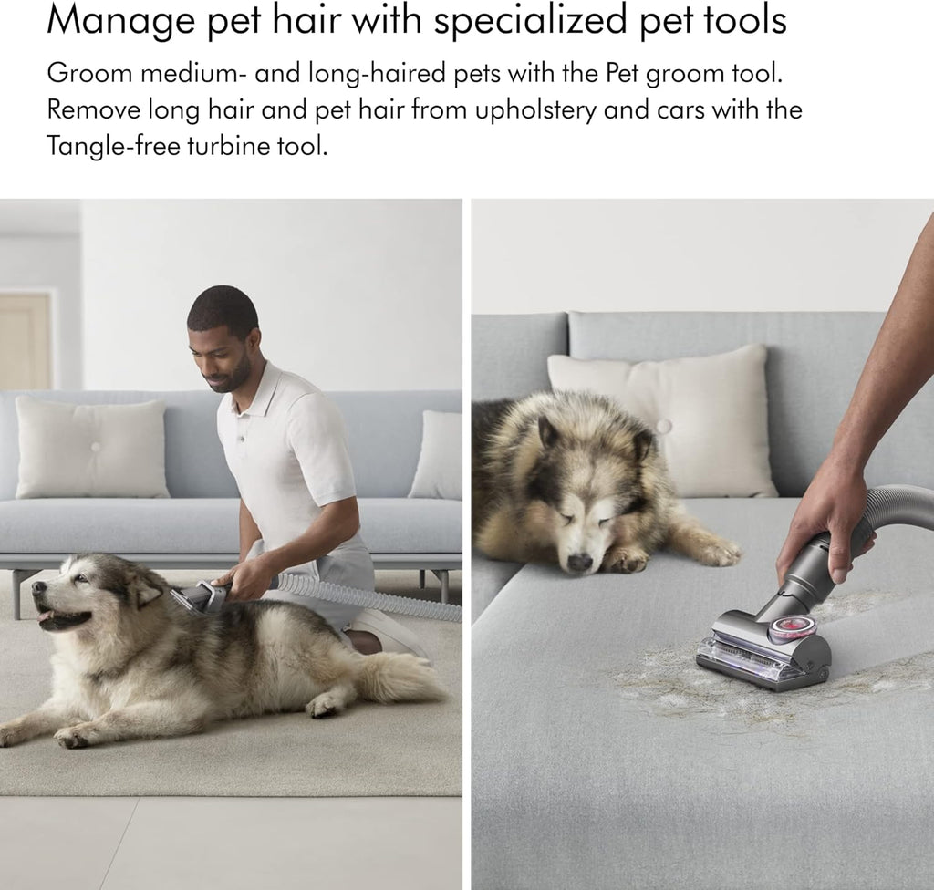 Dyson Ball Animal 2 Total Clean Upright Vacuum, Iron/Blue