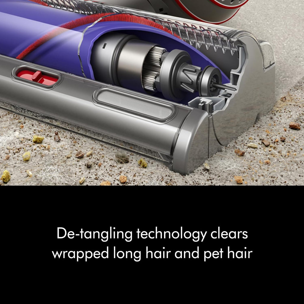 Dyson Ball Animal 2 Total Clean Upright Vacuum, Iron/Blue