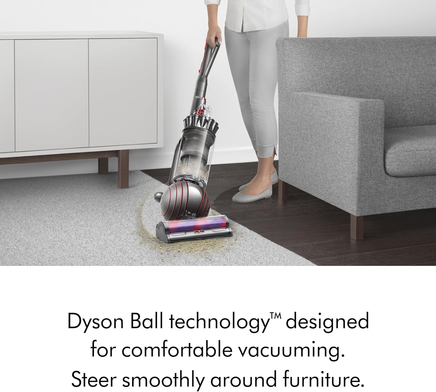 Dyson Ball Animal 2 Total Clean Upright Vacuum, Iron/Blue