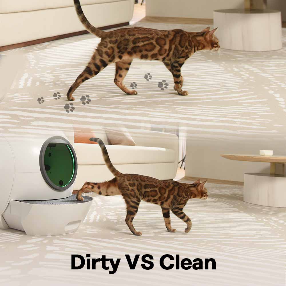 Self Cleaning Cat Litter Box, Automatic Cat Litter Box with APP Control Odor Removal Safety Protection for Multiple Cats