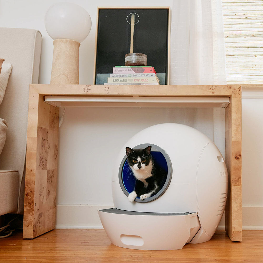 Self Cleaning Cat Litter Box, Automatic Cat Litter Box with APP Control Odor Removal Safety Protection for Multiple Cats