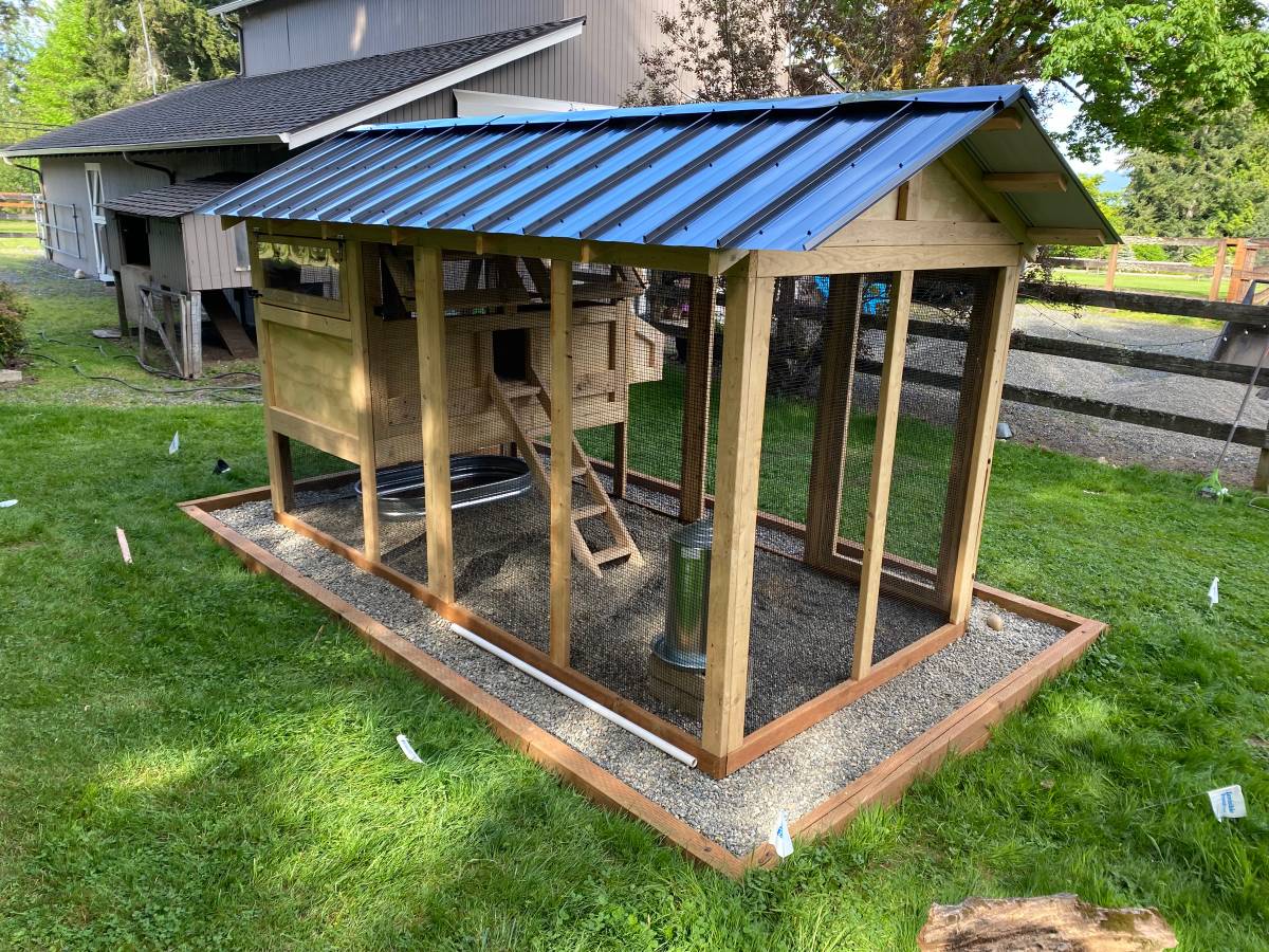 Walk-In Cedar Chicken Coop 6’ Wide – Handcrafted Douglas Fir Frame | Built On Site